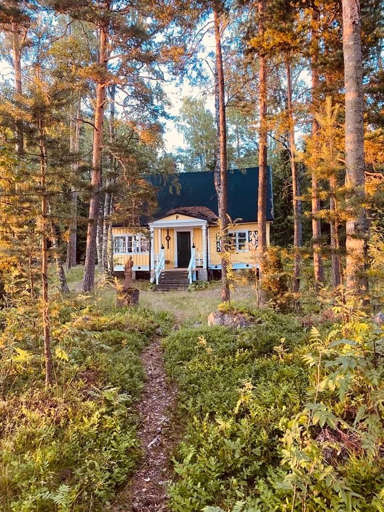 Gelbes Blockhaus im Kiefernwald